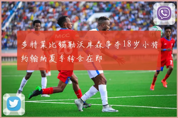 多特莱比锡勒沃库森争夺18岁小将约翰纳夏季转会在即