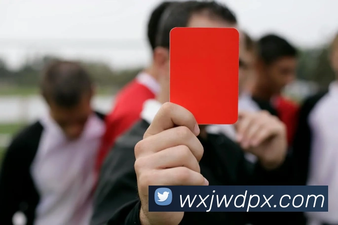 星空平台生态图